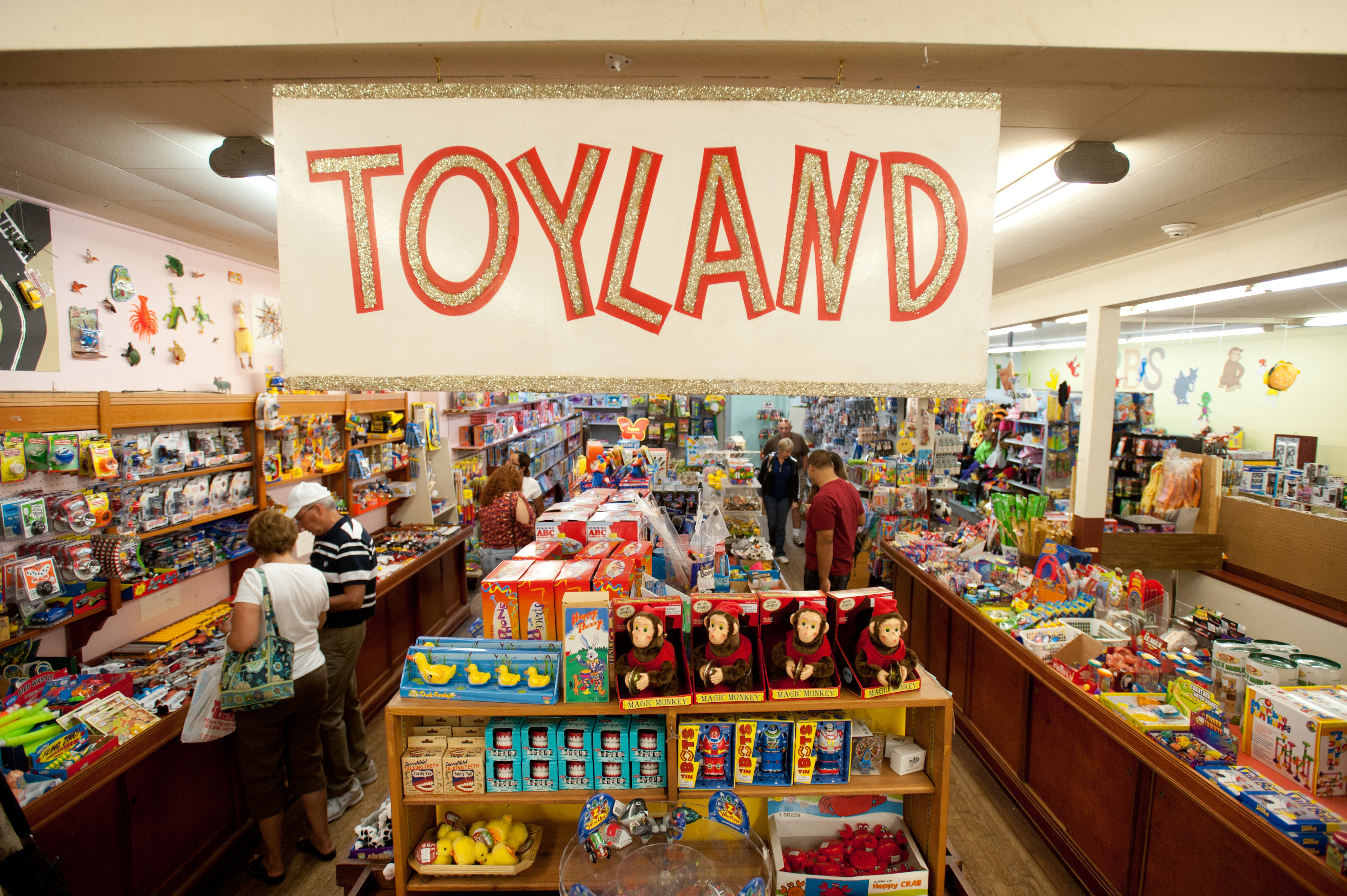 Vidler&rsquo;s 5 & 10 toy shop